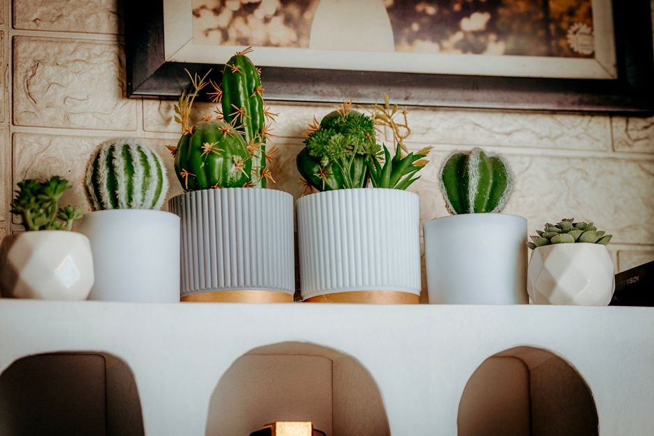 4. Plantas para trazer vida ao ambiente